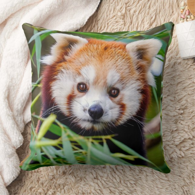 Red Panda  Throw Pillow (Blanket)