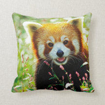 Red Panda Throw Pillow