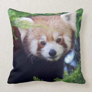Red Panda Throw Pillow