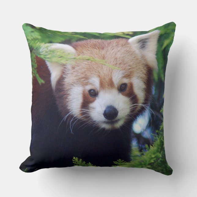 Red Panda Throw Pillow (Front)