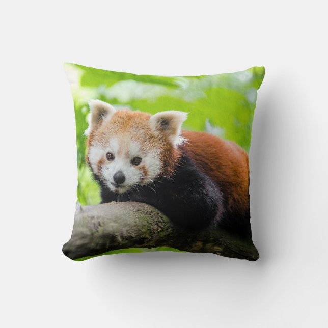 Red Panda Throw Pillow (Front)