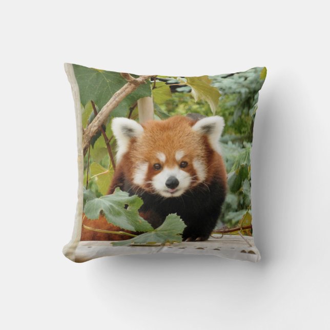 Red Panda Throw Pillow (Front)