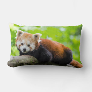 Red Panda Throw Pillow