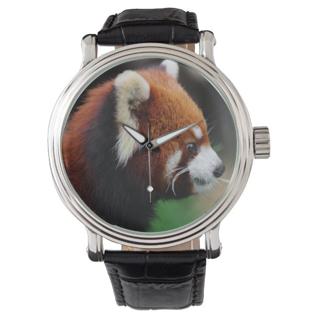 Red panda watch (Front)