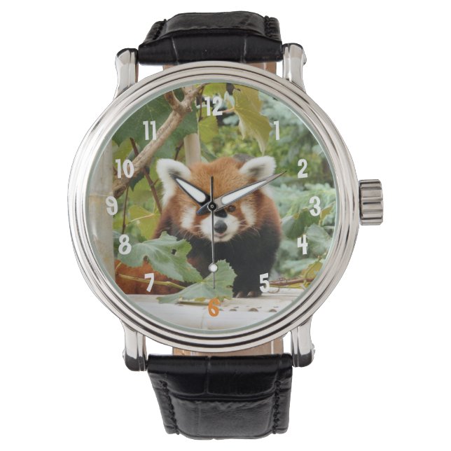 Red Panda Watch (Front)