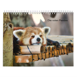 Red Pandas Calendar