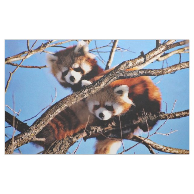 red pandas fabric (Yard)