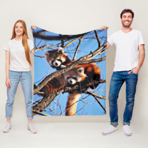 red pandas fleece blanket