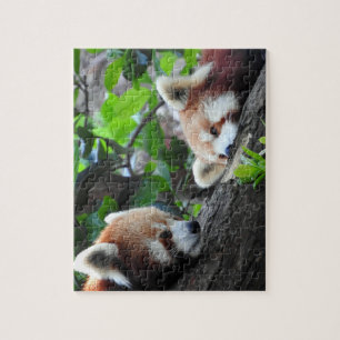Red Pandas Jigsaw Puzzle