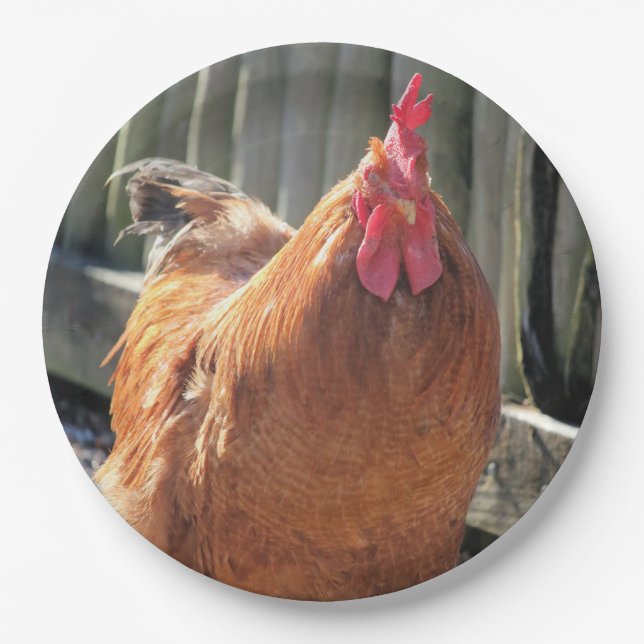 Red   paper plate (Front)