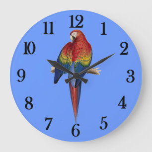 Red parrot Blue Background Large Clock
