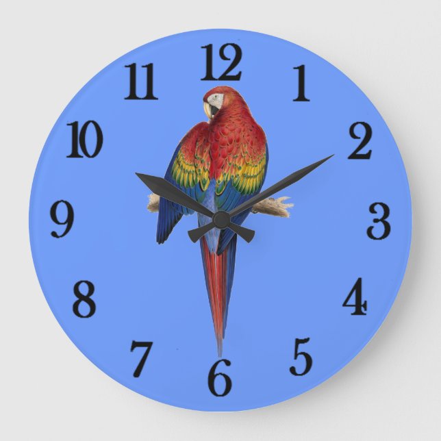 Red parrot Blue Background Large Clock (Front)