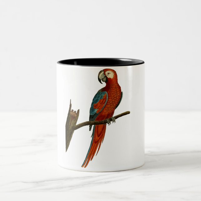 Red parrot draw Two-Tone coffee mug (Center)