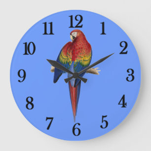 Red parrot large clock