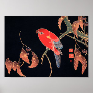 Red Parrot on the Branch of a Tree by Ito Jakuchu Poster