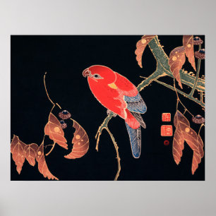 Red Parrot on Tree Branch by Ito Jakuchu Poster