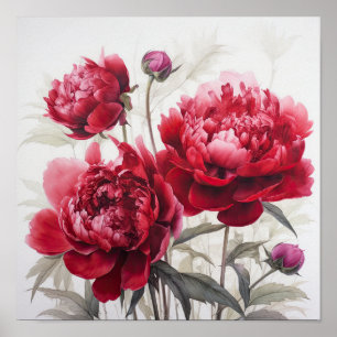 Red Peonies Flower Art Print Poster