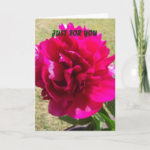 Red Peony any occasion greeting card