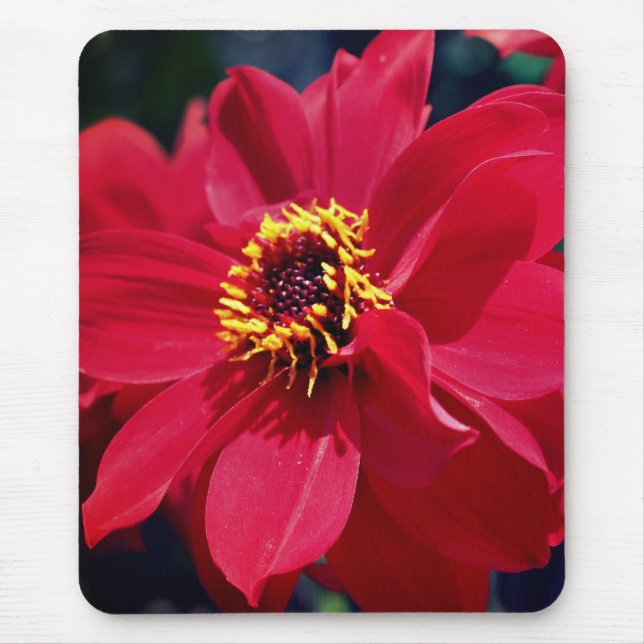 Red Peony Flower  Mouse Pad (Front)