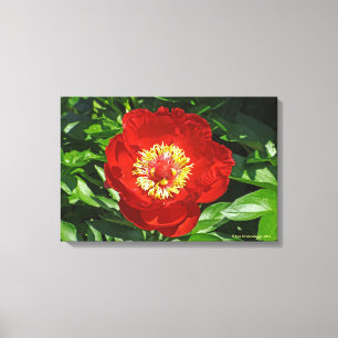 "RED PEONY" PREMIUM WRAPPED CANVAS GLOSS PRINT