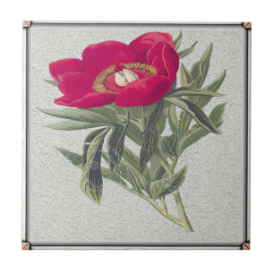 Red Peony Tile