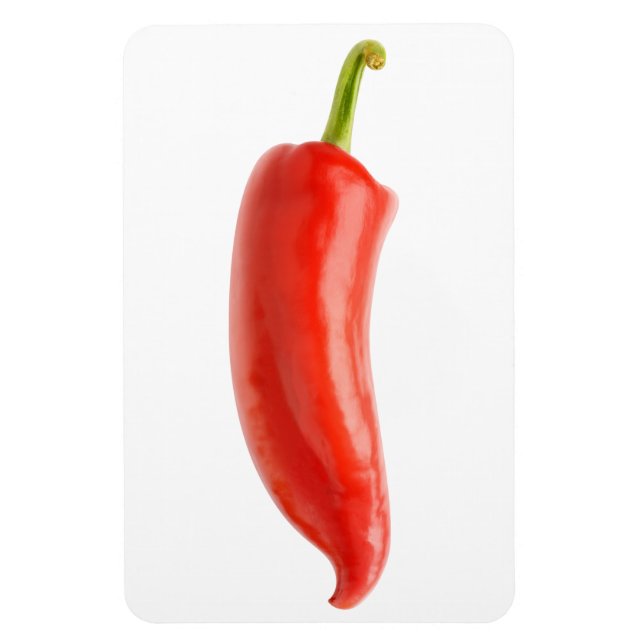 Red pepper magnet (Vertical)