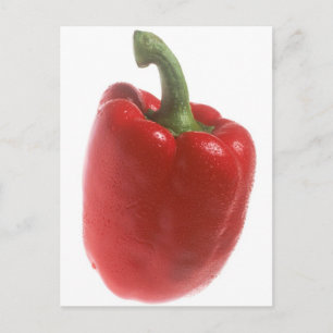 Red Pepper Postcard