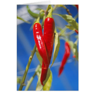 Red peppers card