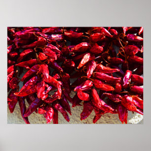 Red peppers drying in the sun Hungary Poster
