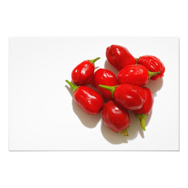 Red Peppers Photo Print (Front)