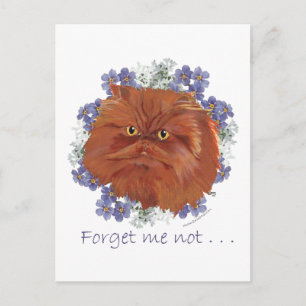 Red Persian Cat Forget Me Not Postcard