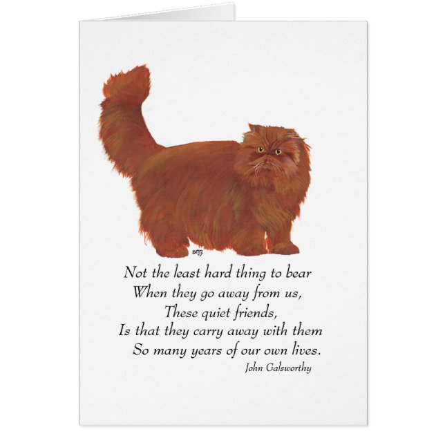 Red Persian Cat Rainbow Bridge (Front)