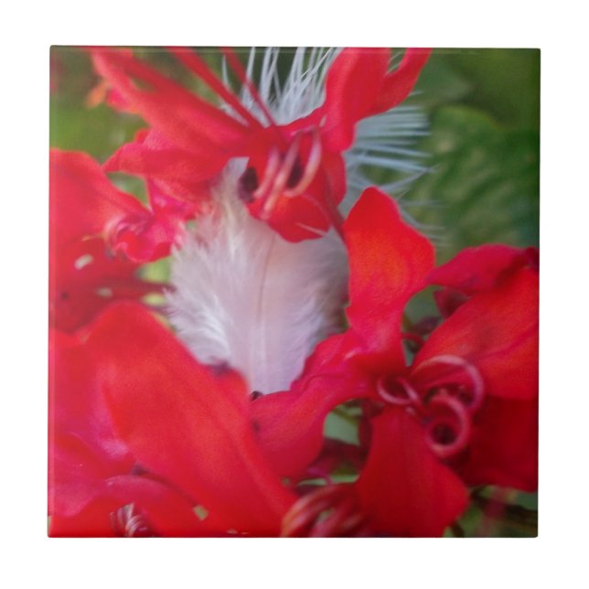 Red Petal Feather Art Print Tile (Front)