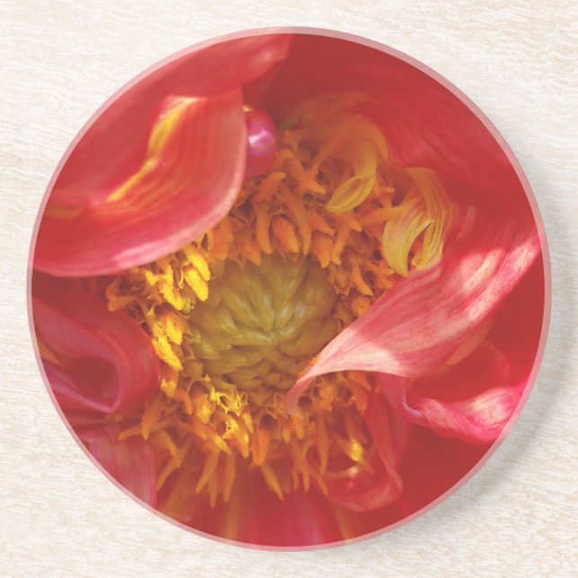 red petals coaster (Front)