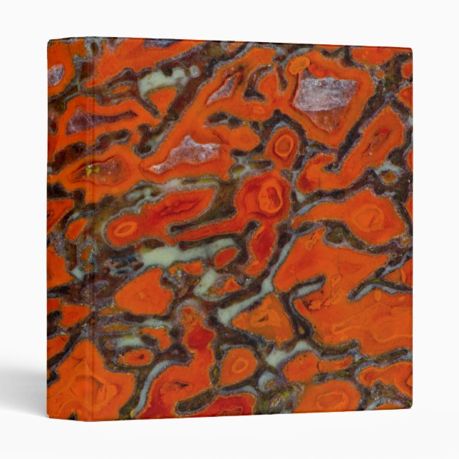 Red Petrified Dinosaur Bone Binder (Front/Spine)