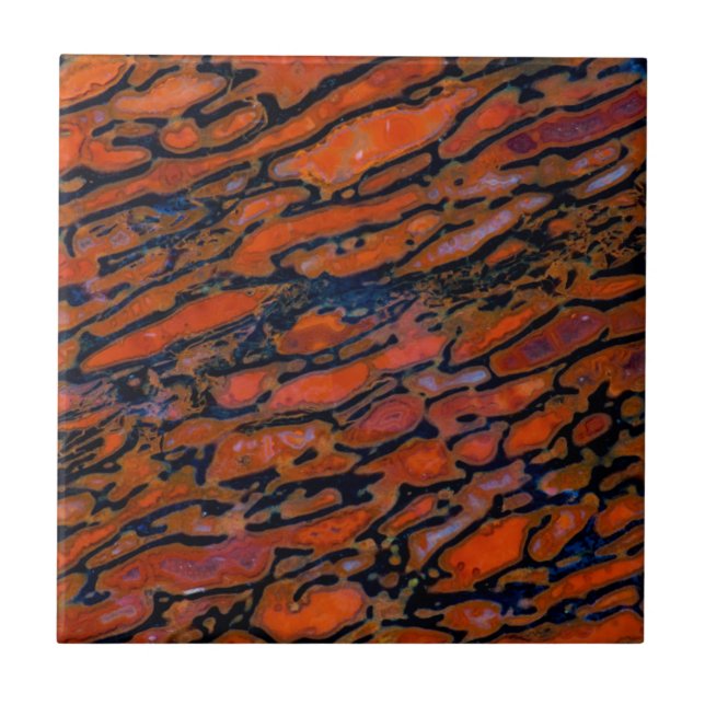 Red Petrified dinosaur bone Tile (Front)