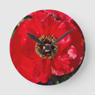Red Photo of a beautiful poppy flower Round Clock