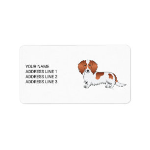 Red Piebald Long Hair Dachshund Cartoon Dog & Text Label
