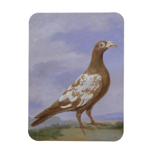 Red Pied Carrier Pigeon (oil on canvas) Magnet (Vertical)