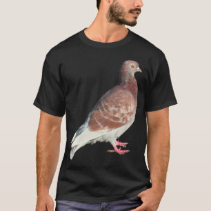 Red Pigeon (isolated) T-Shirt
