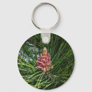 Red Pine Tree Pollen Cone (Pinus resinosa) Keychain