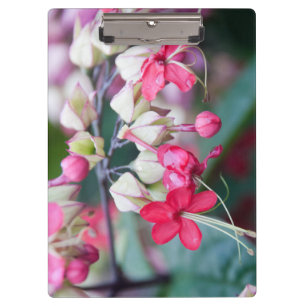 Red Pink and White Tropical Flowers Clipboard