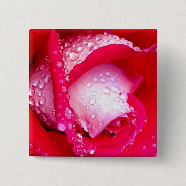 Red/Pink Dew-Kissed Rose 2 Inch Square Button (Front)