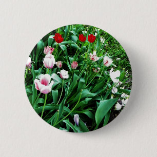 Red & Pink Tulips Pictures 2 Inch Round Button