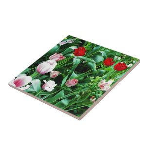 Red & Pink Tulips Pictures Spoon Rest Tile