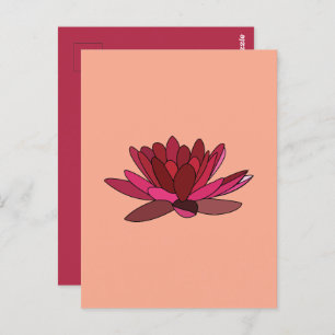 Red Pink Water Lily  Postcard