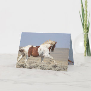 Red Pinto Stallion Leaps Wild Horse Carte de voeux