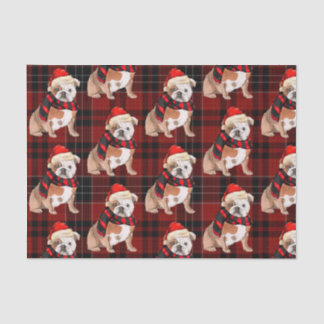 Red Plaid and English Bulldog Christmas Tissue Paper