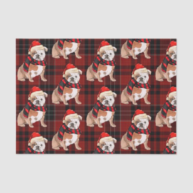 Red Plaid and English Bulldog Christmas Tissue Paper (Front)