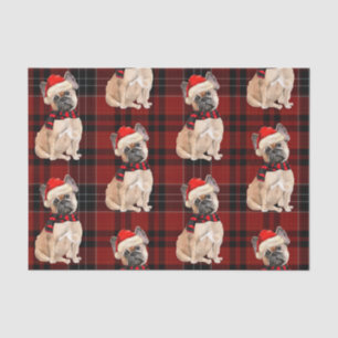 Red Plaid and French Bulldog Christmas  Tissue Paper